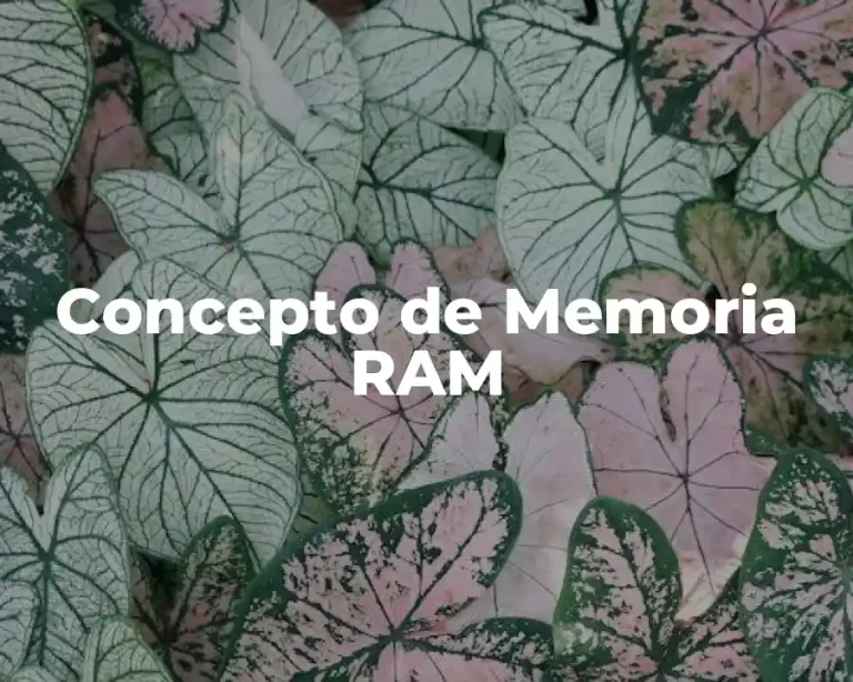 Concepto de Memoria RAM