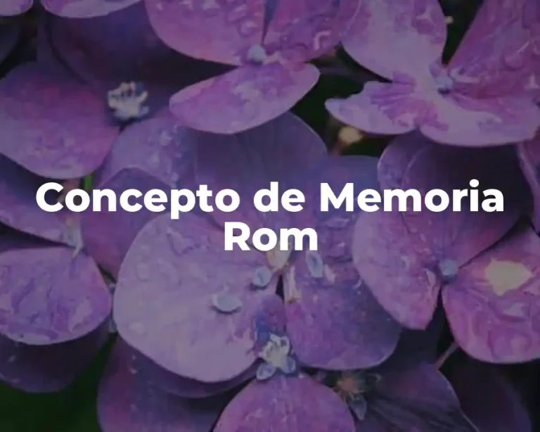 Concepto de Memoria Rom