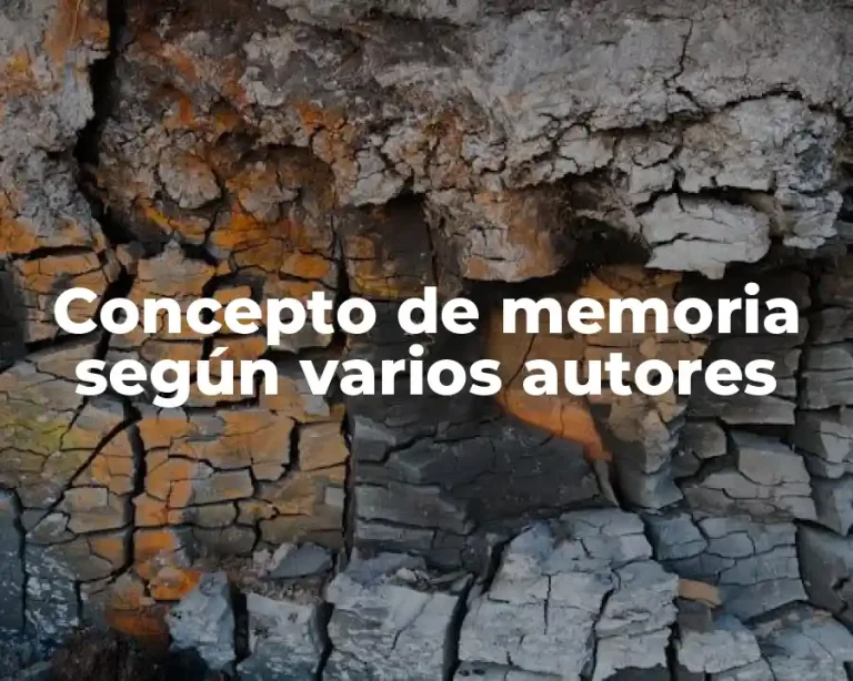 Concepto de memoria según varios autores