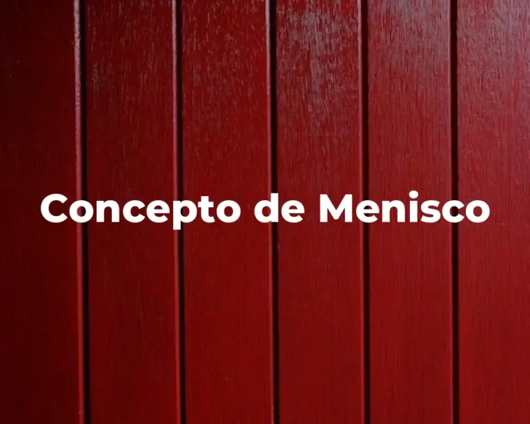 Concepto de Menisco