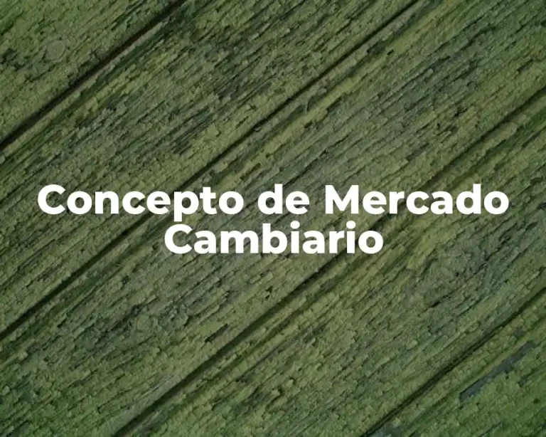 Concepto de Mercado Cambiario