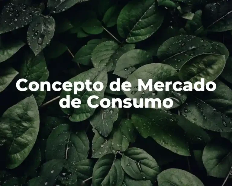 Concepto de Mercado de Consumo