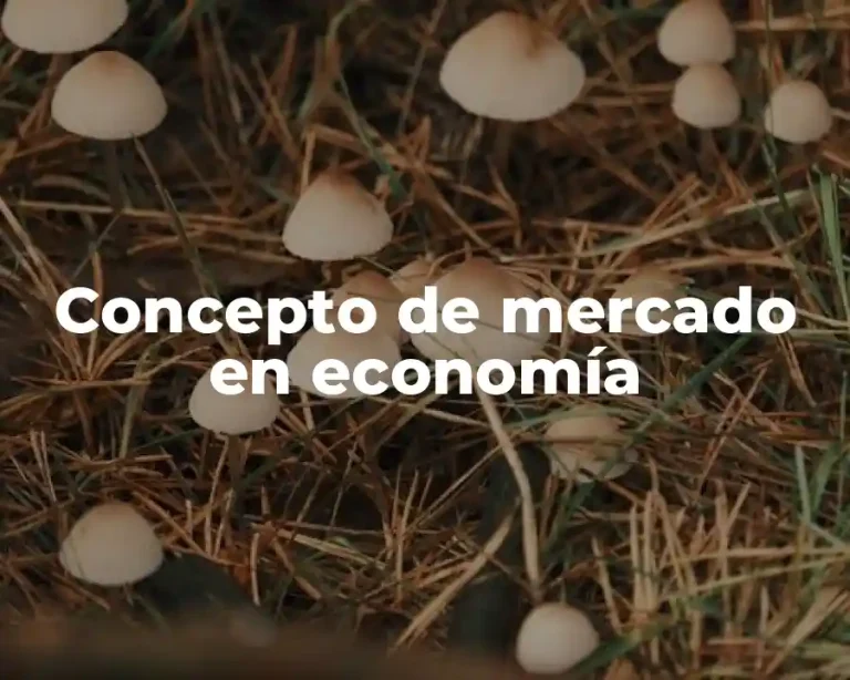 Concepto de mercado en economía