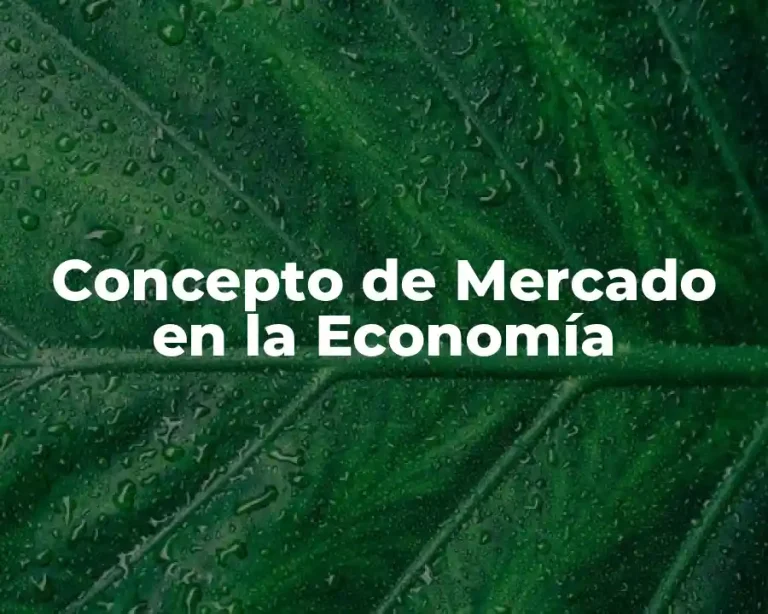 Concepto de Mercado en la Economía