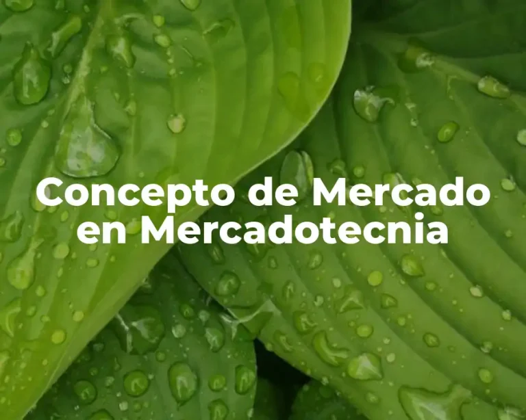 Concepto de Mercado en Mercadotecnia