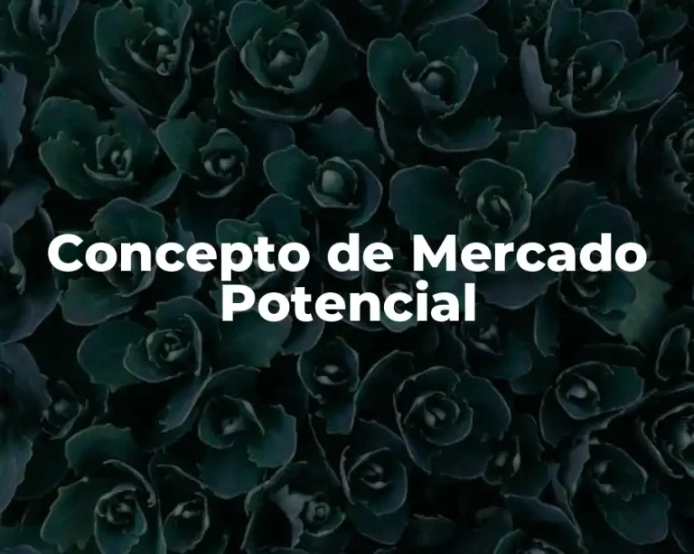 Concepto de Mercado Potencial