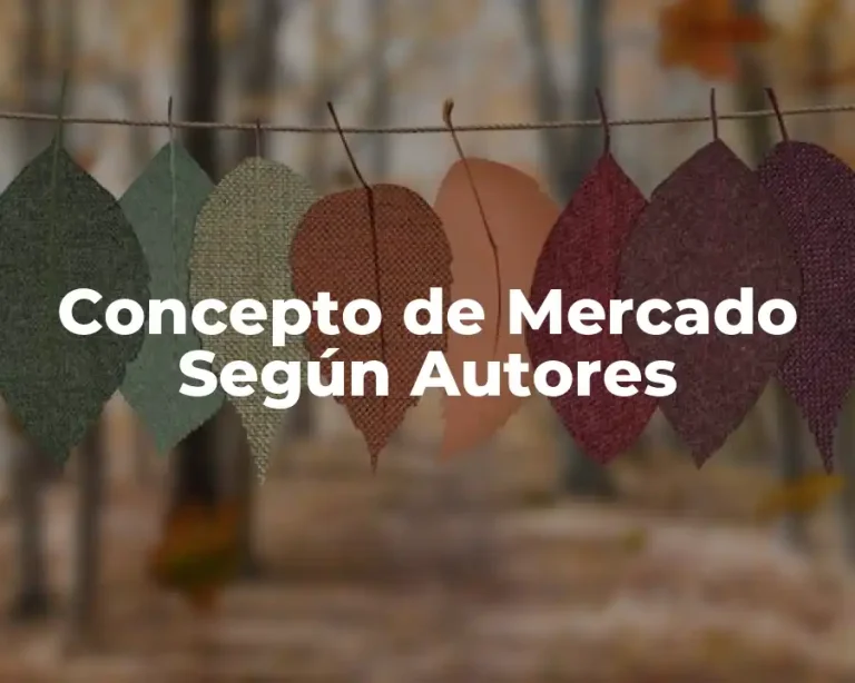 Concepto de Mercado Según Autores