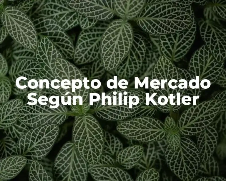 Concepto de Mercado Según Philip Kotler