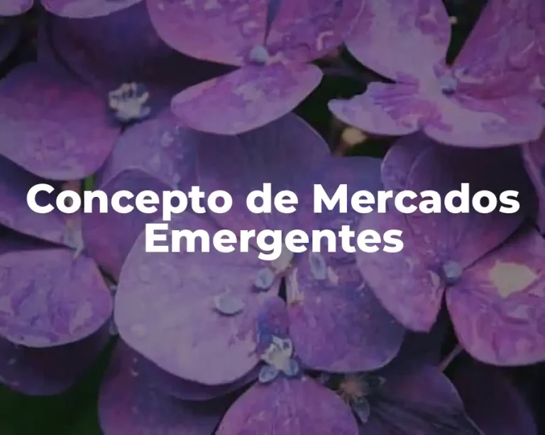 Concepto de Mercados Emergentes