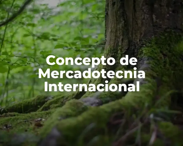 Concepto de Mercadotecnia Internacional