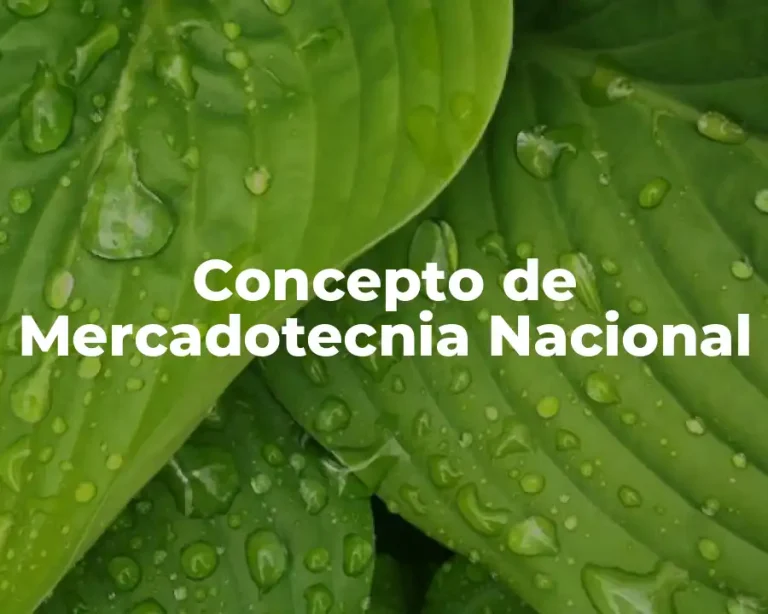 Concepto de Mercadotecnia Nacional