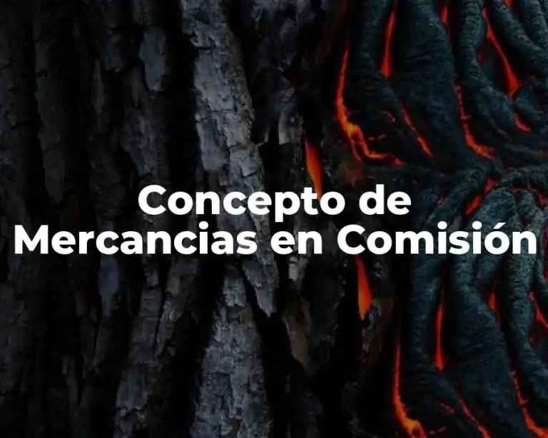 Concepto de Mercancias en Comisión