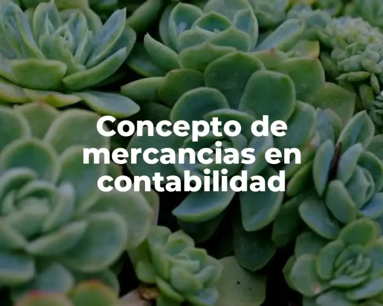 Concepto de mercancias en contabilidad