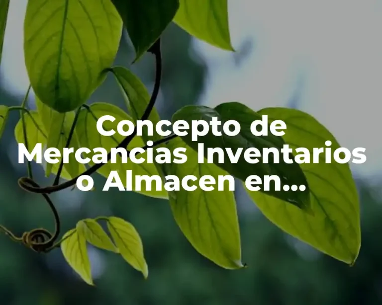 Concepto de Mercancias Inventarios o Almacen en Contabilidad