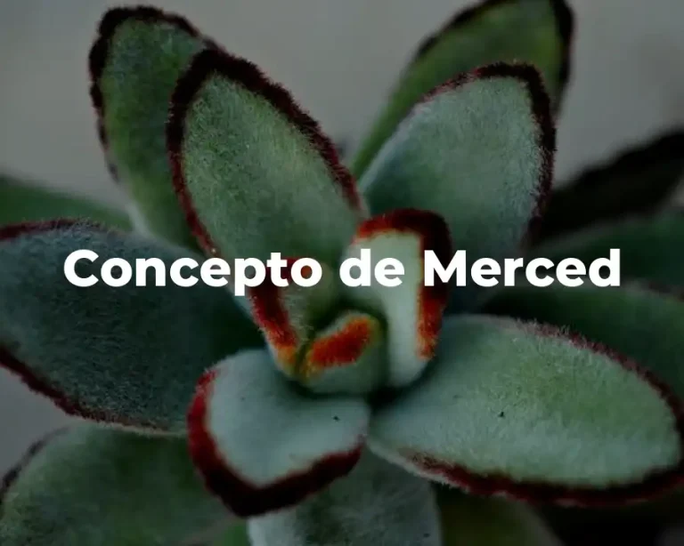 Concepto de Merced