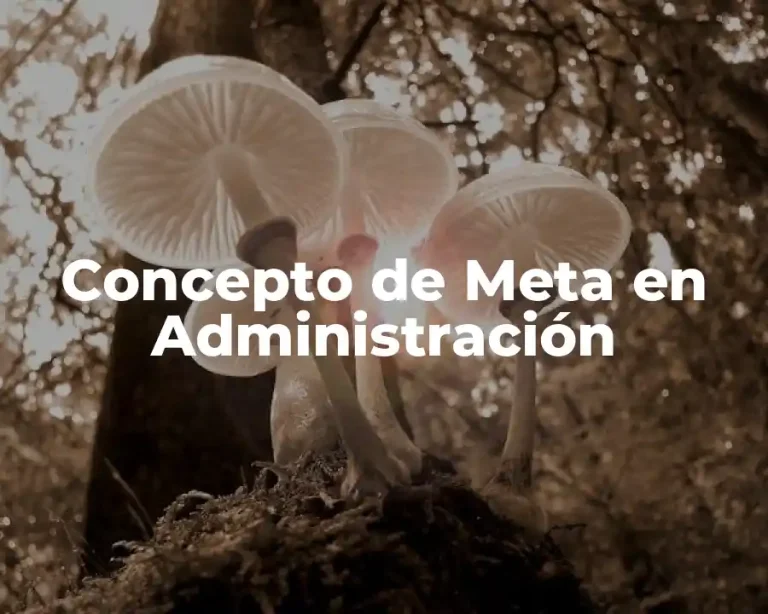 Concepto de Meta en Administración