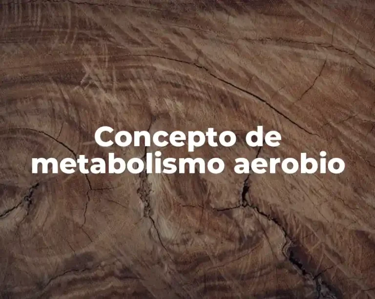 Concepto de metabolismo aerobio