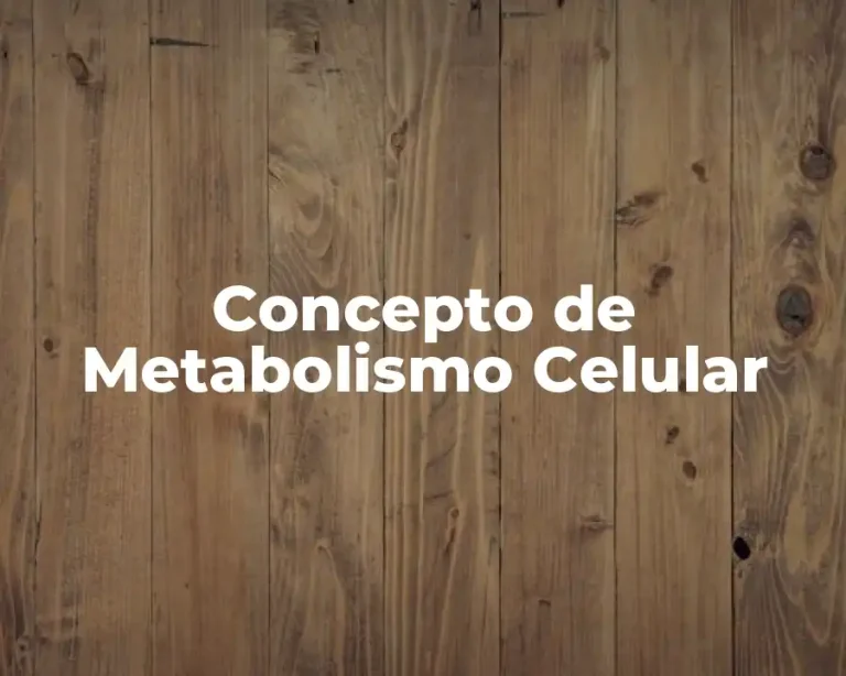 Concepto de Metabolismo Celular