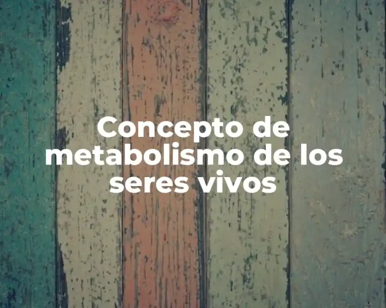 Concepto de metabolismo de los seres vivos