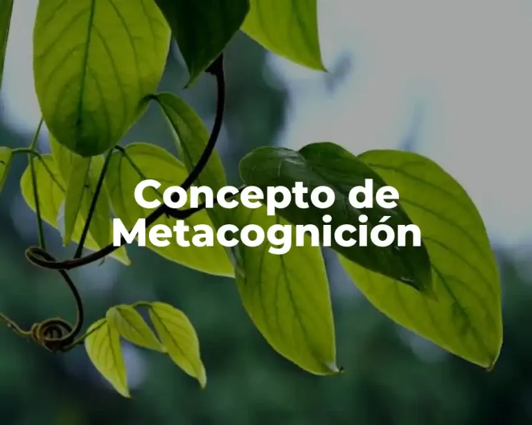 Concepto de Metacognición