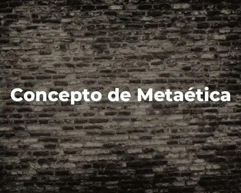 Concepto de Metaética