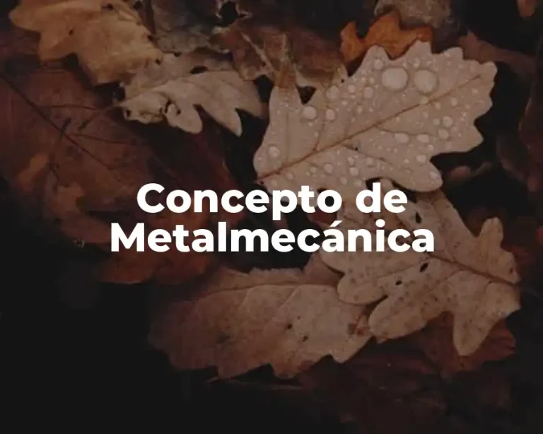 Concepto de Metalmecánica