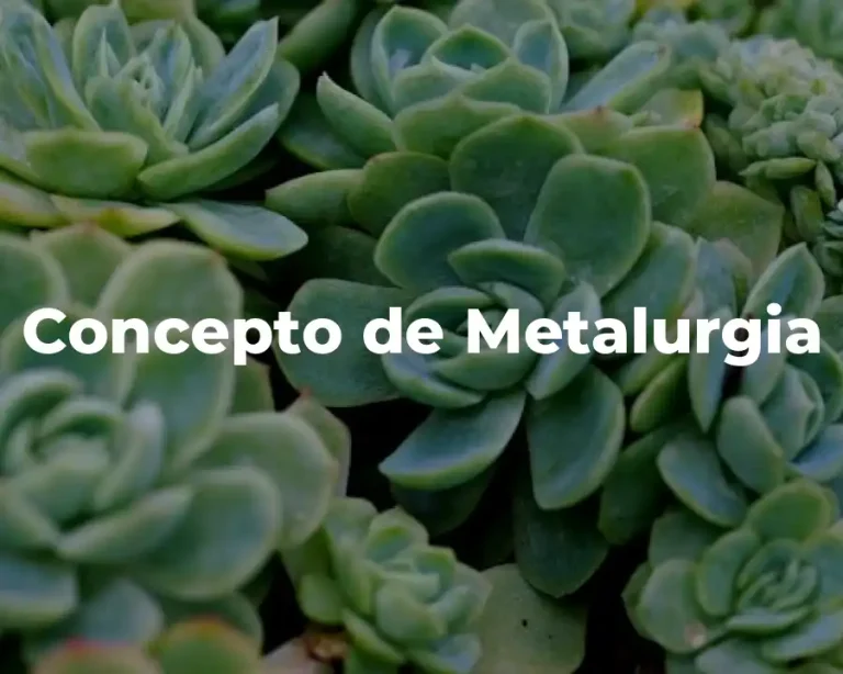 Concepto de Metalurgia