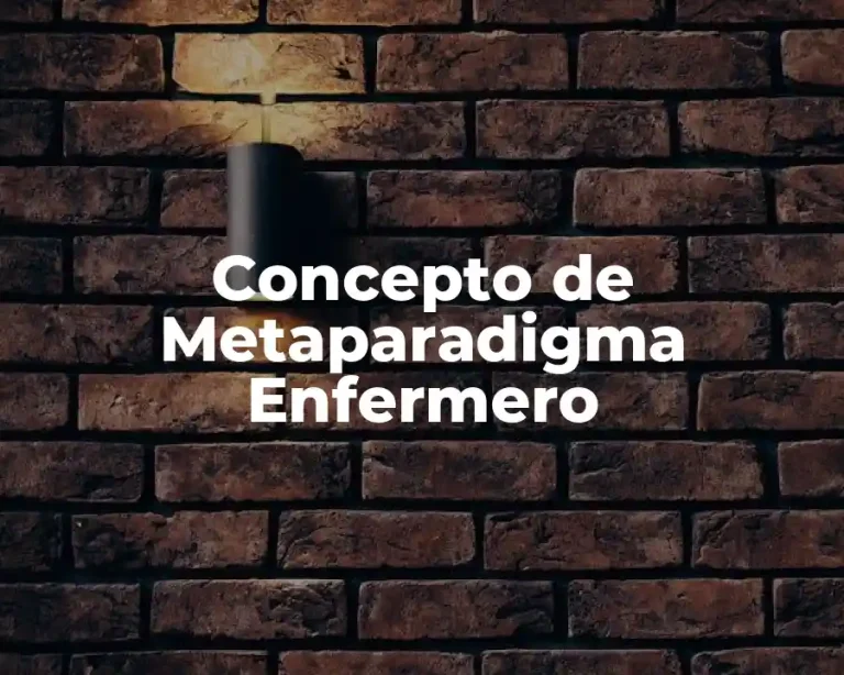 Concepto de Metaparadigma Enfermero