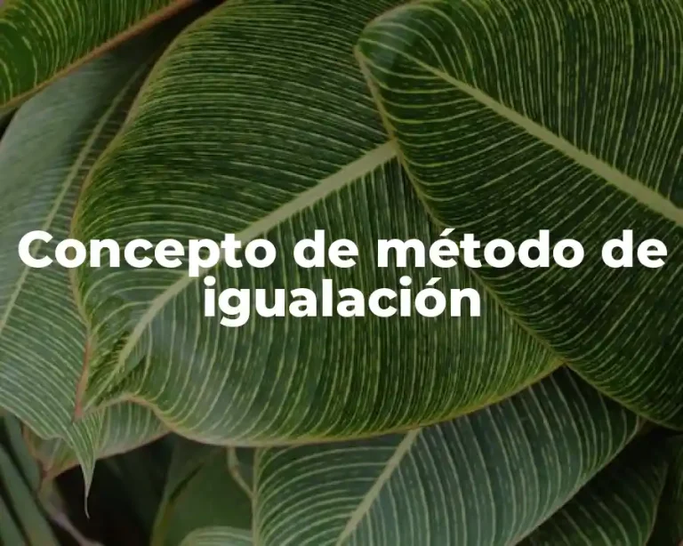 Concepto de método de igualación