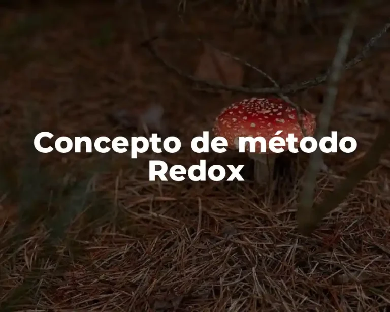Concepto de método Redox