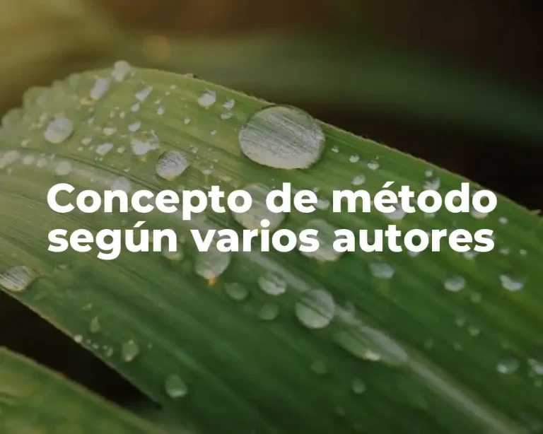 Concepto de método según varios autores