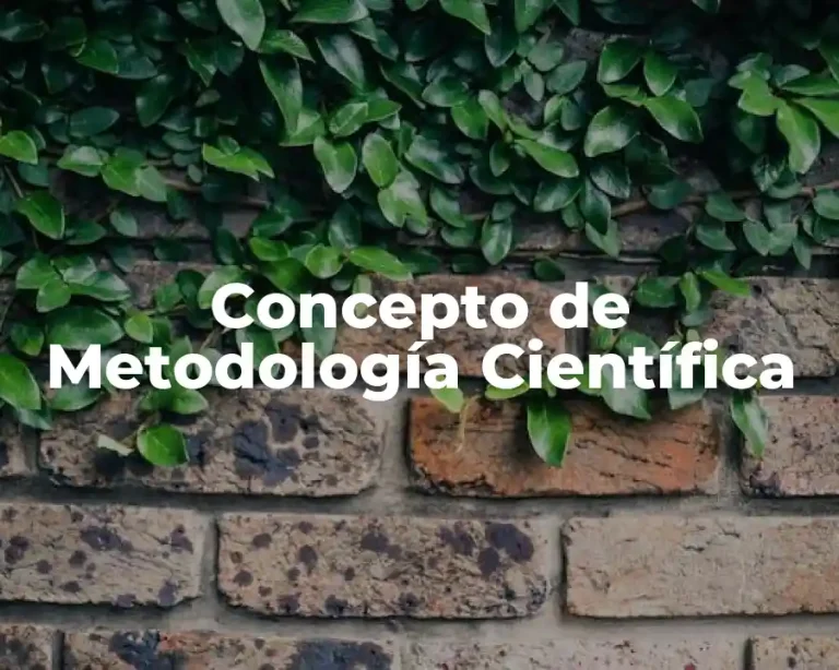 Concepto de Metodología Científica