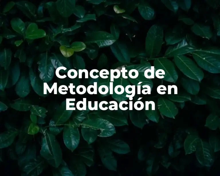 Concepto de Metodología en Educación