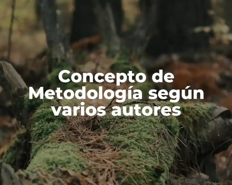 Concepto de Metodología según varios autores