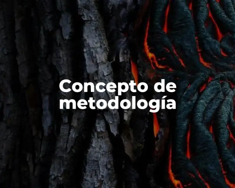 Concepto de metodología
