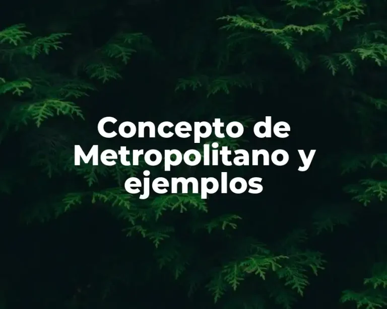 Concepto de Metropolitano y ejemplos