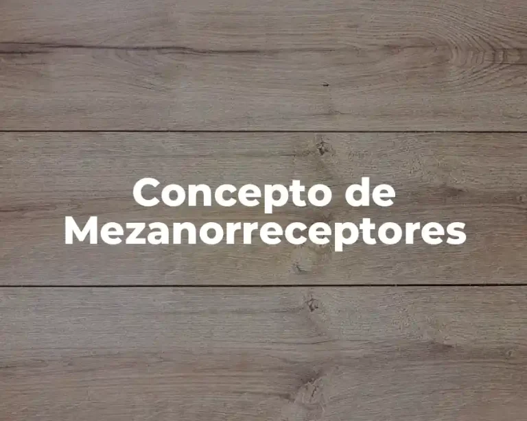 Concepto de Mezanorreceptores