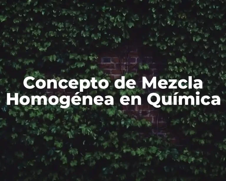 Concepto de Mezcla Homogénea en Química