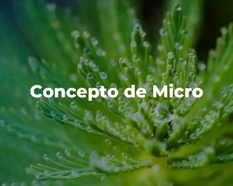 Concepto de Micro