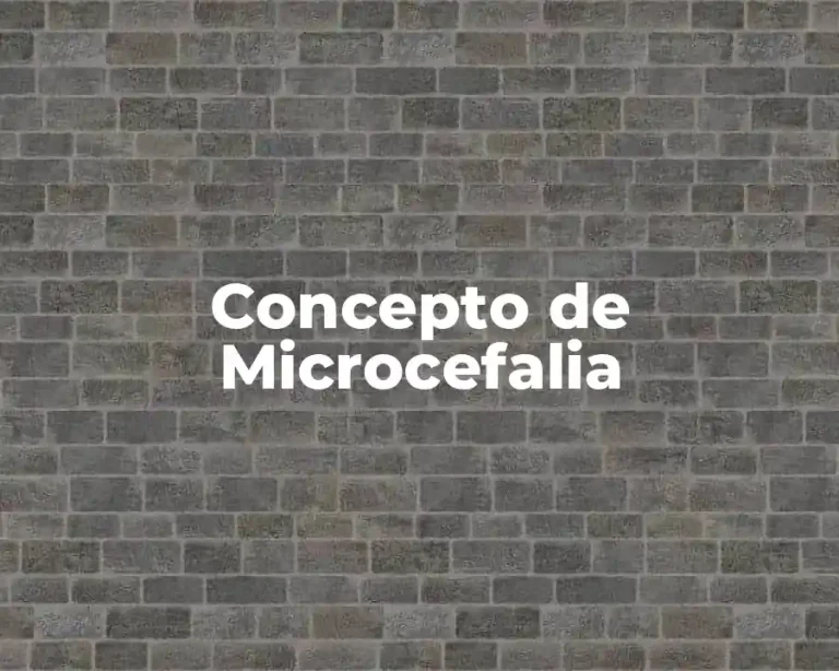 Concepto de Microcefalia
