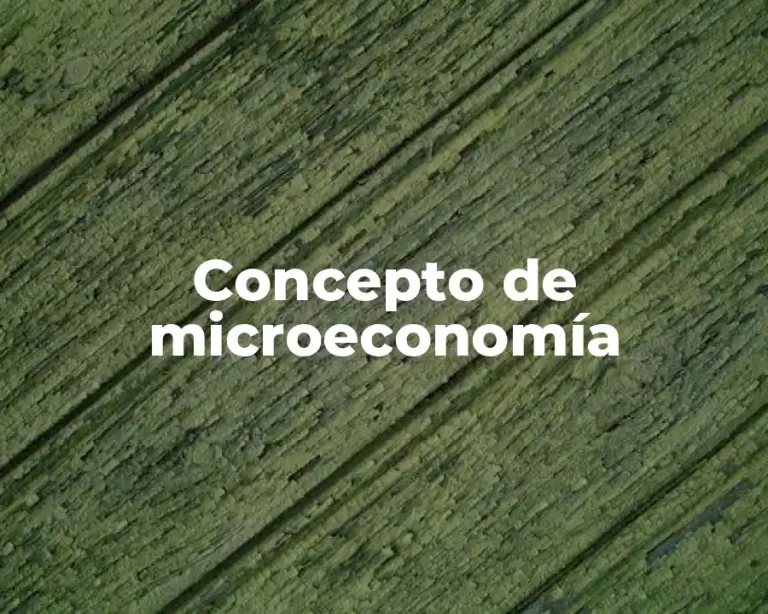 Concepto de microeconomía