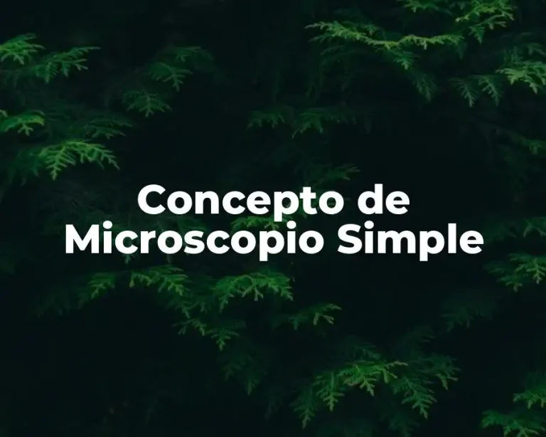 Concepto de Microscopio Simple