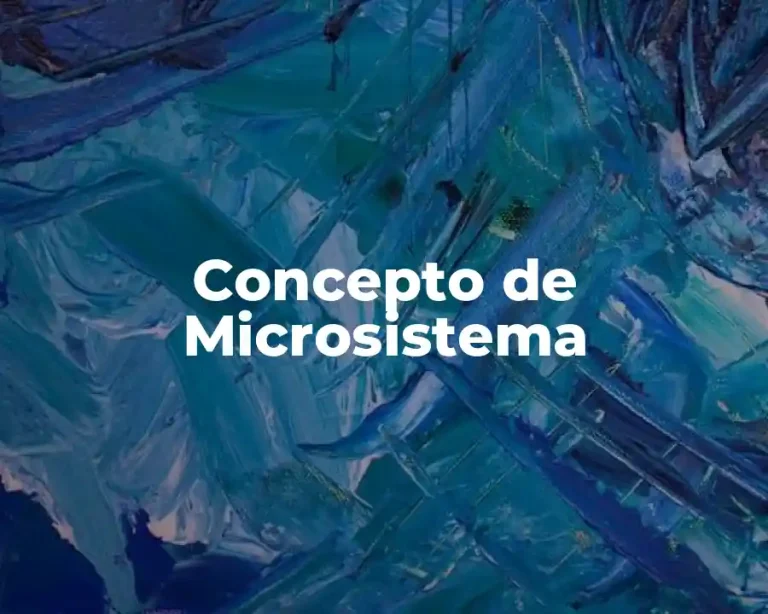 Concepto de Microsistema