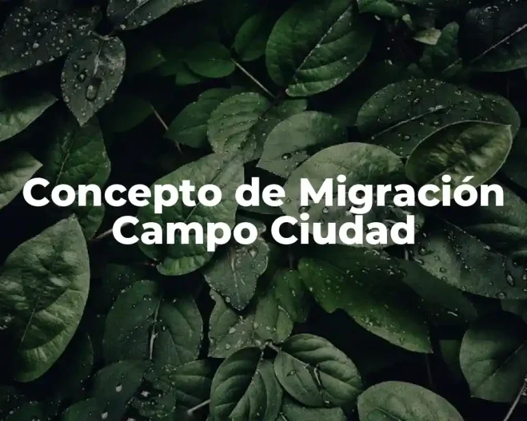 Concepto de Migración Campo Ciudad
