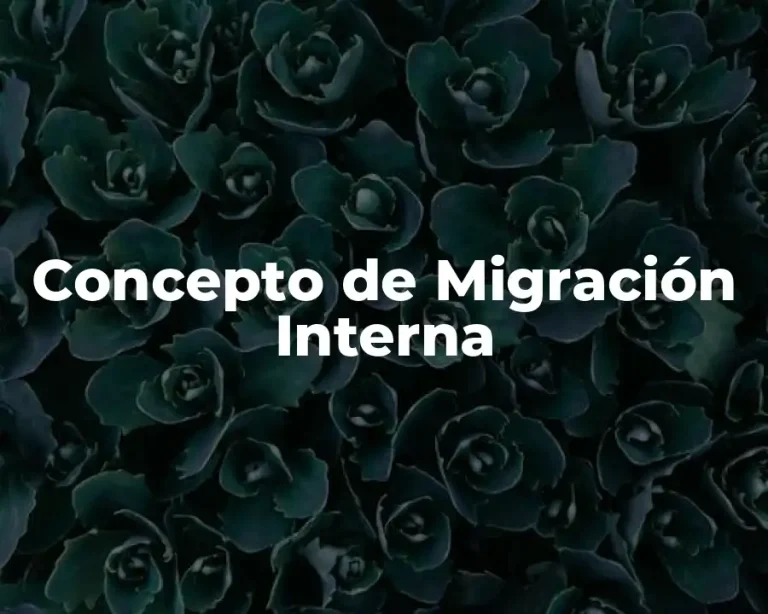Concepto de Migración Interna