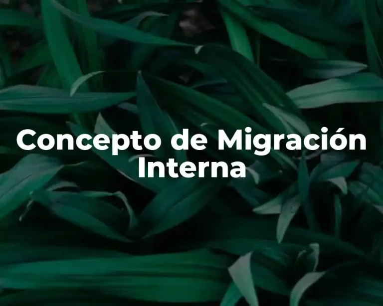 Concepto de Migración Interna