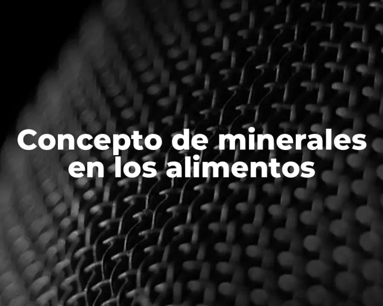 Concepto de minerales en los alimentos