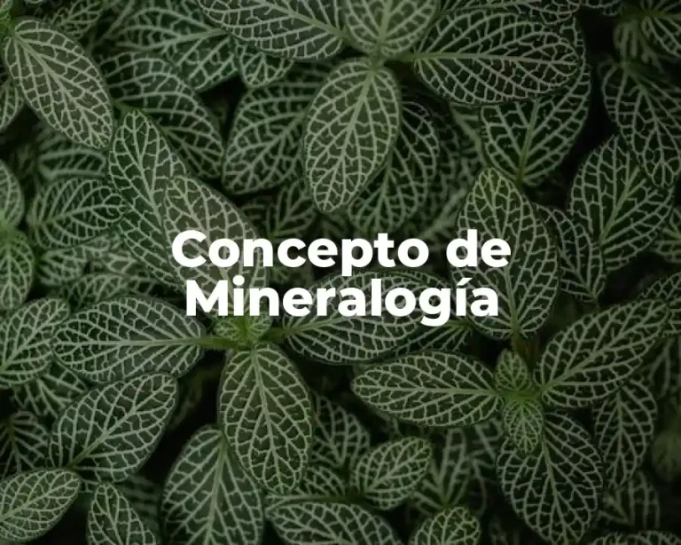 Concepto de Mineralogía