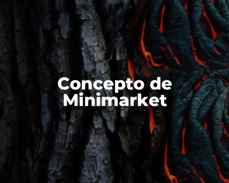 Concepto de Minimarket