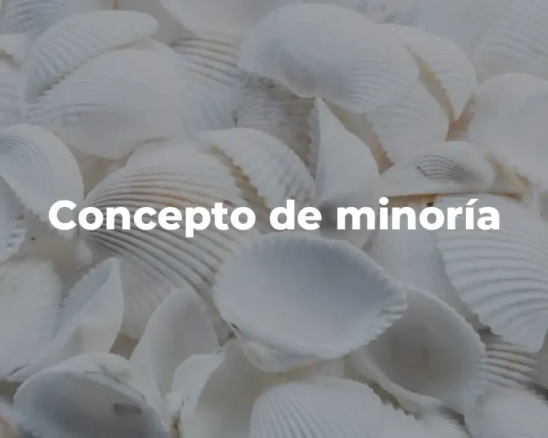 Concepto de minoría